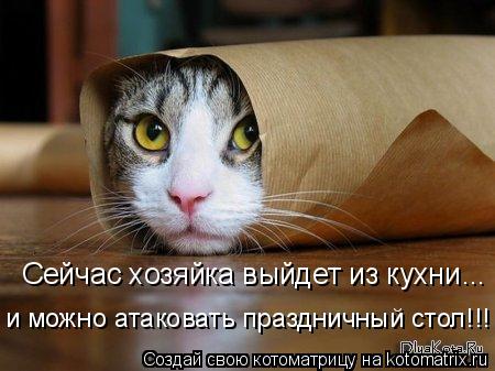 Котоматрица: Сейчас хозяйка выйдет из кухни ... и можно атаковать праздничный стол!!!