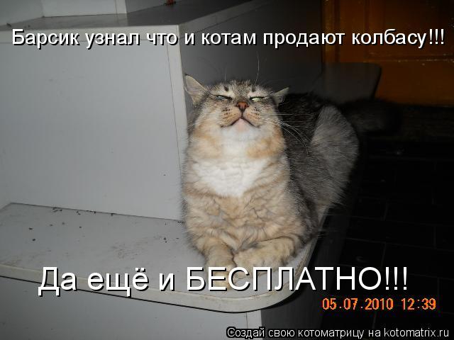 Котоматрица: Барсик узнал что и котам продают колбасу!!! Да ещё и БЕСПЛАТНО!!!