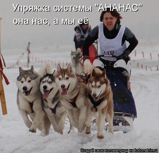 Упряжка системы "АНАНАС" она нас, а мы её... Котоматрица: Упряжка системы "АНАНАС" она нас, а мы её