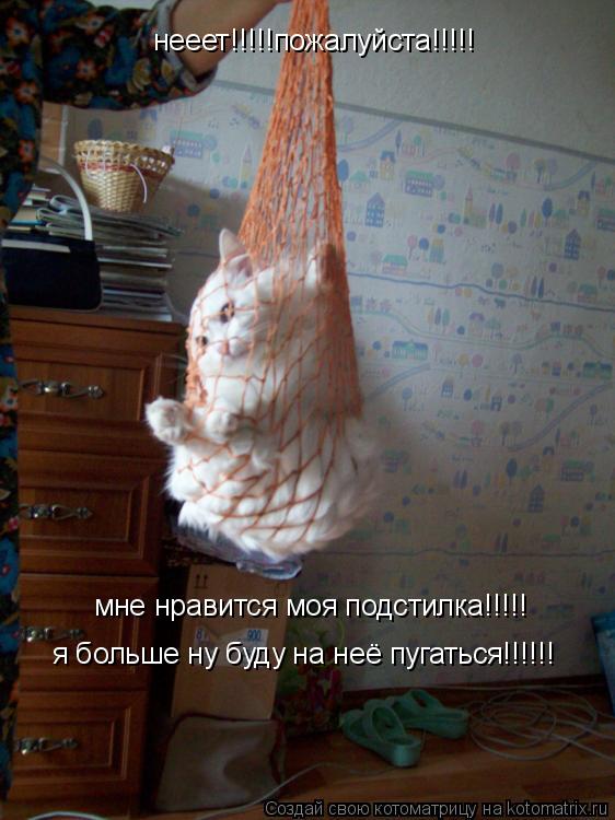 Котоматрица: нееет!!!!!пожалуйста!!!!! мне нравится моя подстилка!!!!! я больше ну буду на неё пугаться!!!!!!