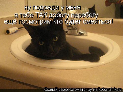 Котоматрица: ну подожди у меня я тебе ТАК дорогу перебегу ещё посмотрим кто будет смеяться!