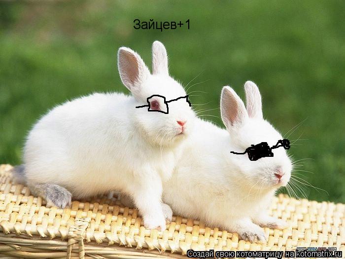 Котоматрица: Зайцев+1