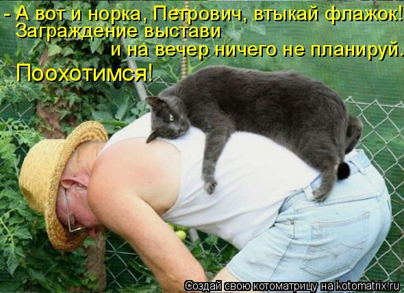 - А вот и норка, Петрович, втыкай флажок! Заграждение выстави и на вечер ничего не планируй. Поохоти... Котоматрица: - А вот и норка, Петрович, втыкай флажок! Заграждение выстави и на вечер ничего не планируй. Поохотимся!