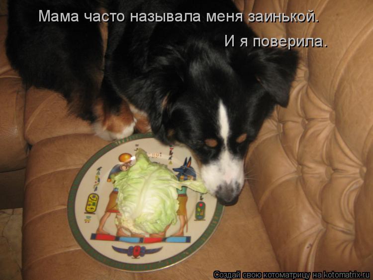 Котоматрица: Мама часто называла меня заинькой. И я поверила.