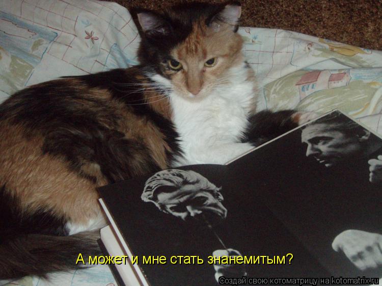 Котоматрица: А может и мне стать знанемитым?