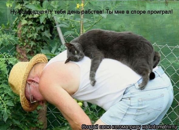 Котоматрица: Ну все дедуля!У тебя день рабства! Ты мне в споре проиграл!