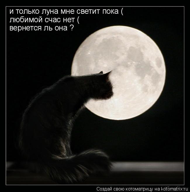 Котоматрица: и только луна мне светит пока ( любимой счас нет ( вернется ль она ?