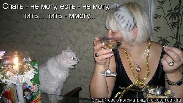 Спать - не могу, есть - не могу, пить... пить - ммогу...... Котоматрица: Спать - не могу, есть - не могу, пить... пить - ммогу...