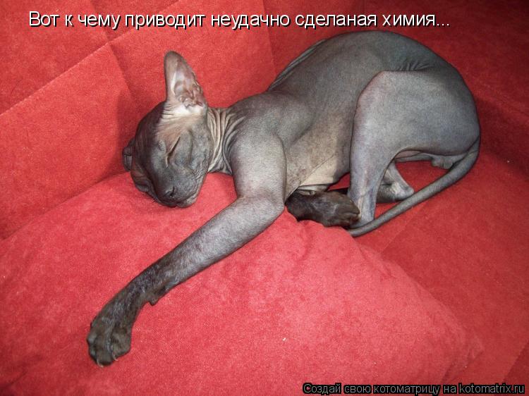 Котоматрица: Вот к чему приводит неудачно сделаная химия...