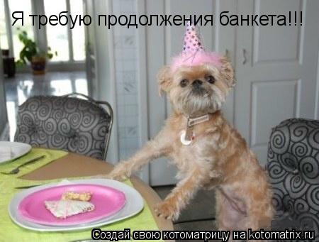 Я требую продолжения банкета!!!... Котоматрица: Я требую продолжения банкета!!!