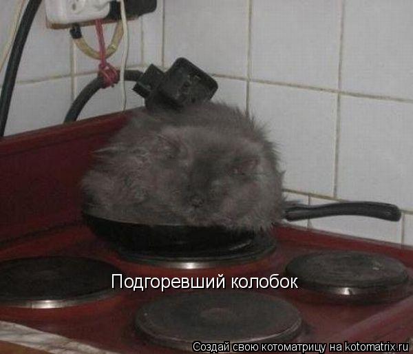 Котоматрица: Подгоревший колобок