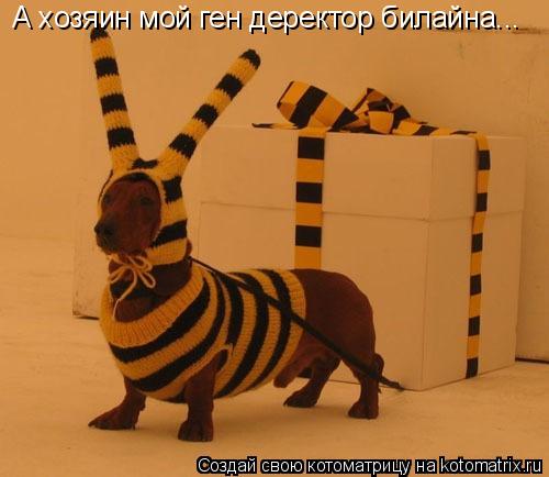 Котоматрица: А хозяин мой ген деректор билайна...