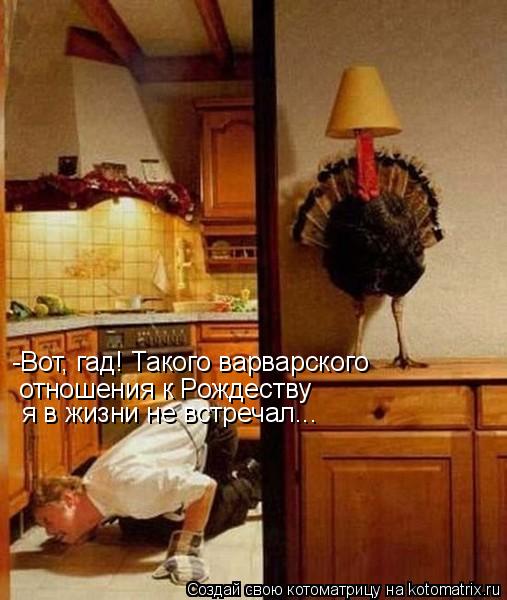 Котоматрица: отношения к Рождеству я в жизни не встречал... -Вот, гад! Такого варварского