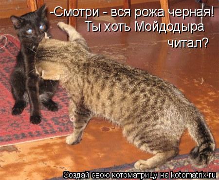 -Смотри - вся рожа черная! Ты хоть Мойдодыра читал?... Котоматрица: -Смотри - вся рожа черная! Ты хоть Мойдодыра читал?