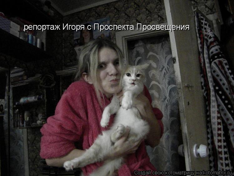 репортаж Игоря с Проспекта Просвещения... Котоматрица: репортаж Игоря с Проспекта Просвещения
