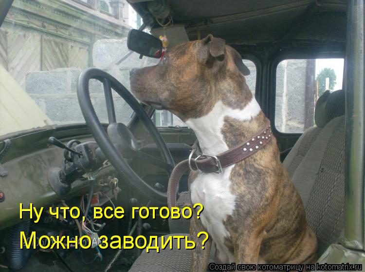 Можно заводить? Ну что, все готово?... Котоматрица: Можно заводить? Ну что, все готово?
