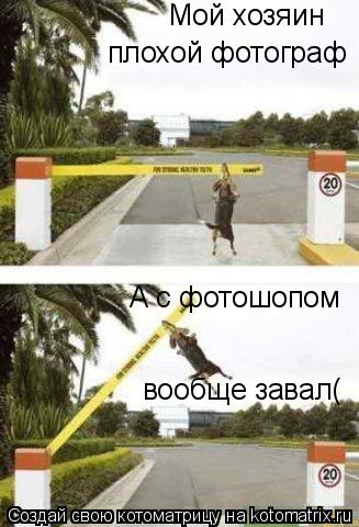 Мой хозяин плохой фотограф А с фотошопом вообще завал(... Котоматрица: Мой хозяин плохой фотограф А с фотошопом вообще завал(