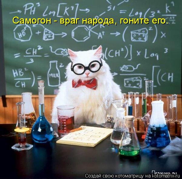 Самогон - враг народа, гоните его.... Котоматрица: Самогон - враг народа, гоните его.