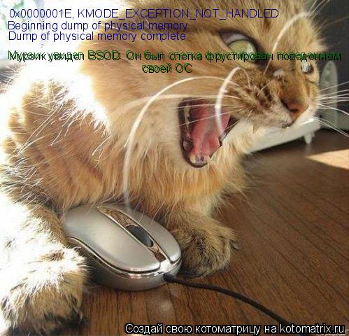 0x0000001E, KMODE_EXCEPTION_NOT_HANDLED Beginning dump of physical memory Dump of physical memory com... Котоматрица: 0x0000001E, KMODE_EXCEPTION_NOT_HANDLED Beginning dump of physical memory Dump of physical memory complete Мурзик увидел BSOD. Он был слегка фрустиров