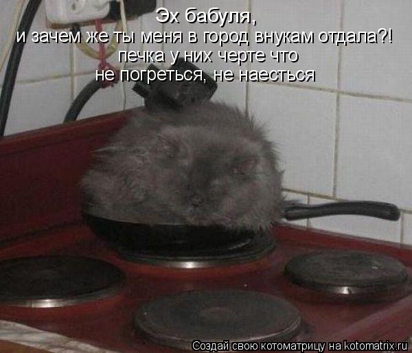 Котоматрица: Эх бабуля,  и зачем же ты меня в город внукам отдала?!  печка у них черте что не погреться, не наесться