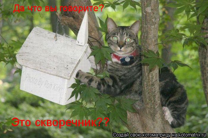 Да что вы говорите? Это скворечник??... Котоматрица: Да что вы говорите? Это скворечник??