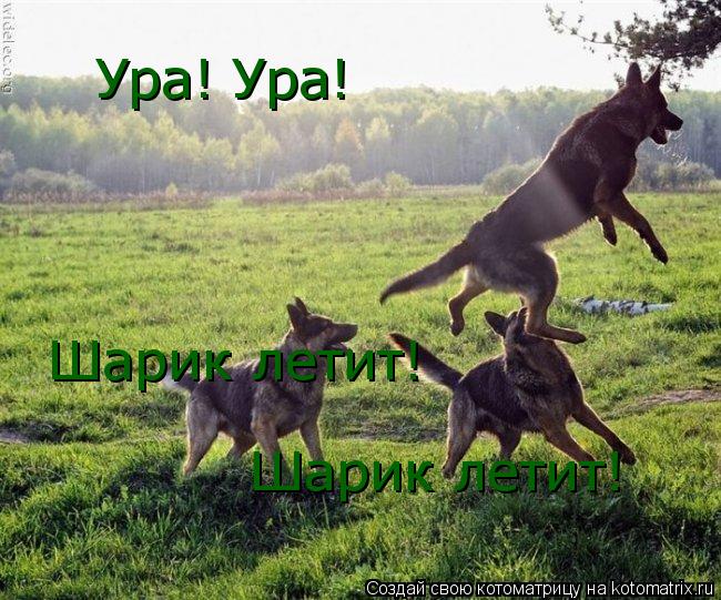 Ура! Ура! Шарик летит! Шарик летит!... Котоматрица: Ура! Ура! Шарик летит! Шарик летит!