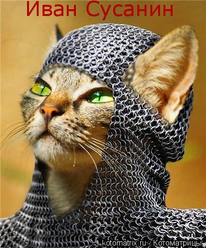 Котоматрица: Иван Сусанин