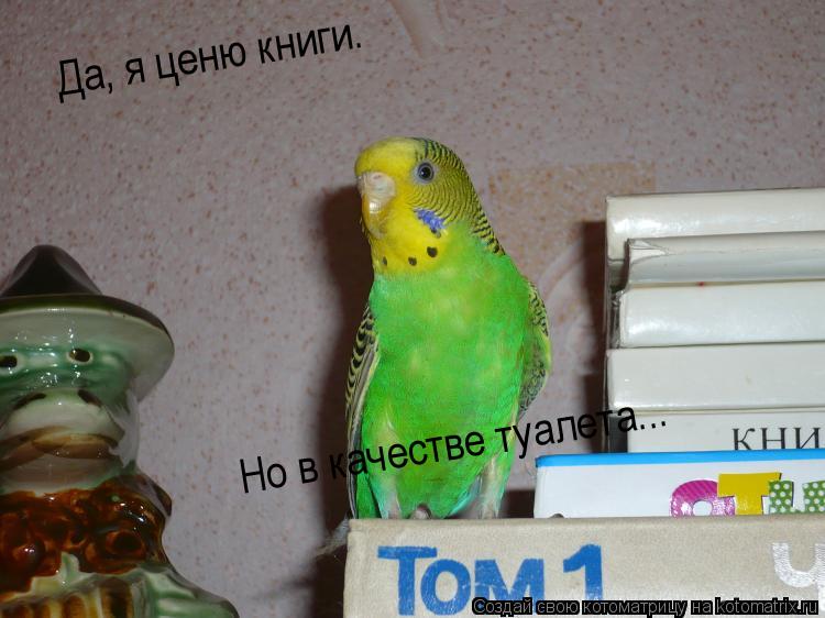Котоматрица: Да, я ценю книги. Но в качестве туалета...