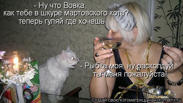 Котоматрица: - Ну что Вовка,  как тебе в шкуре мартовского кота? теперь гуляй где хочешь  - Рыбка моя, ну расколдуй  ты меня пожалуйста!