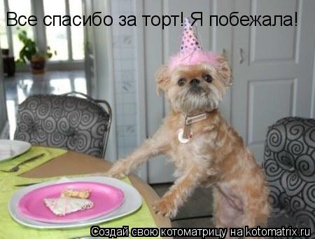 Котоматрица: Все спасибо за торт! Я побежала!