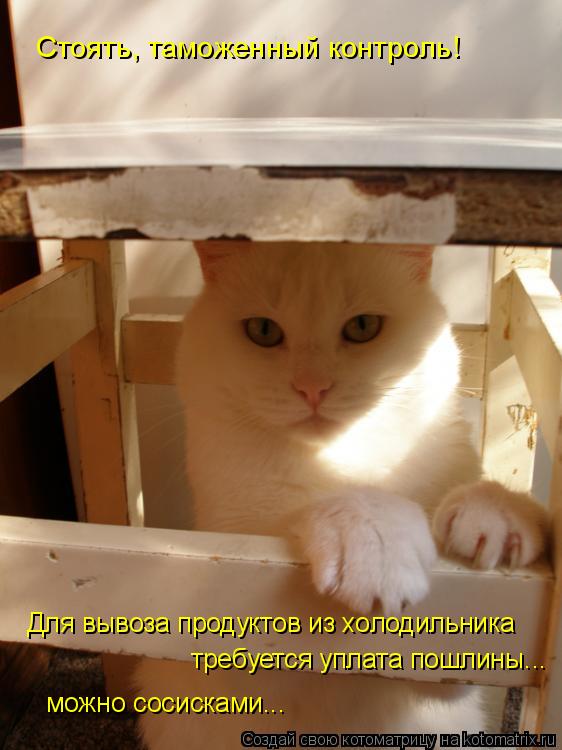 Стоять, таможенный контроль! Для вывоза продуктов из холодильника требуется уплата пошлины... можно с... Котоматрица: Стоять, таможенный контроль! Для вывоза продуктов из холодильника требуется уплата пошлины... можно сосисками...
