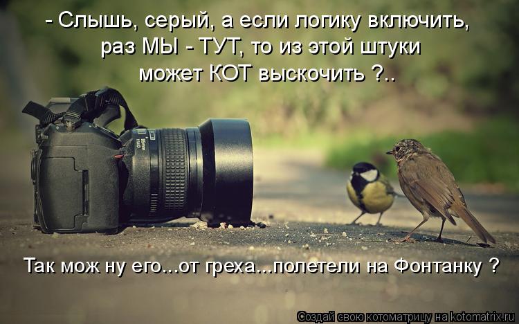 - Слышь, серый, а если логику включить, раз МЫ - ТУТ, то из этой штуки может КОТ выскочить ?.. Так мо... Котоматрица: - Слышь, серый, а если логику включить, раз МЫ - ТУТ, то из этой штуки может КОТ выскочить ?.. Так мож ну его...от греха...полетели на Фонтанку ?