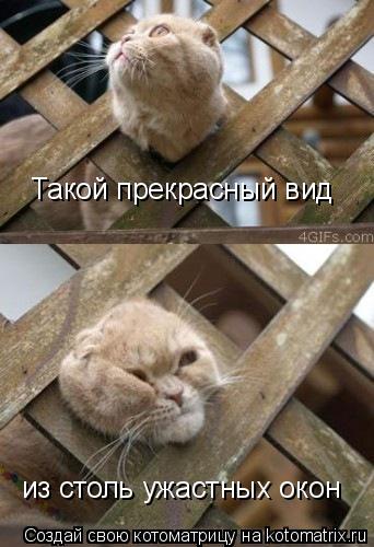 Такой прекрасный вид из столь ужастных окон... Котоматрица: Такой прекрасный вид из столь ужастных окон