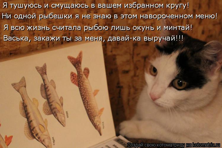 Я тушуюсь и смущаюсь в вашем избранном кругу! Я всю жизнь считала рыбою лишь окунь и минтай! Васька, ... Котоматрица: Я тушуюсь и смущаюсь в вашем избранном кругу! Я всю жизнь считала рыбою лишь окунь и минтай! Васька, закажи ты за меня, давай-ка выручай!!! Ни о