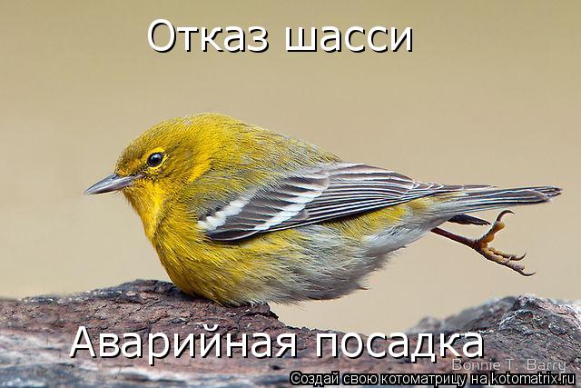 Отказ шасси Аварийная посадка... Котоматрица: Отказ шасси Аварийная посадка