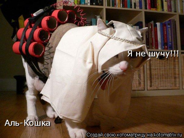 Аль-Кошка Я не шучу!!!... Котоматрица: Аль-Кошка Я не шучу!!!