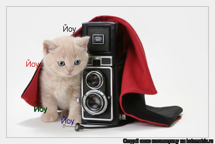 Йоу Йоу Йоу Йоу... Котоматрица: Йоу Йоу Йоу Йоу