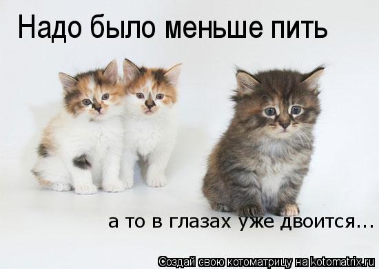 Надо было меньше пить а то в глазах уже двоится...... Котоматрица: Надо было меньше пить а то в глазах уже двоится...
