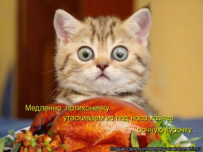 Медленно, потихонечку утаскиваем из под носа хозяев сочную курочку...... Котоматрица: Медленно, потихонечку утаскиваем из под носа хозяев сочную курочку...