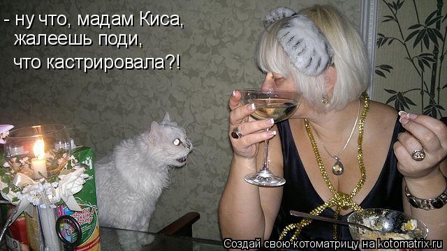 - ну что, мадам Киса, жалеешь поди, что кастрировала?!... Котоматрица: - ну что, мадам Киса, жалеешь поди, что кастрировала?!
