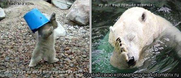 ой настала ночь, но почемуя не вижу веть у меня талант ну вот ещё пришёл новичок... Котоматрица: ой настала ночь, но почемуя не вижу веть у меня талант ну вот ещё пришёл новичок