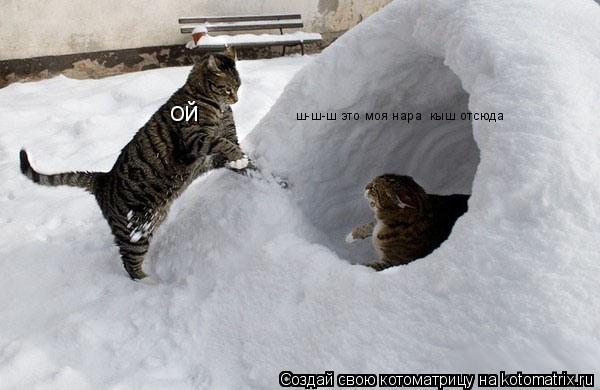 ой ш-ш-ш это моя нара кыш отсюда... Котоматрица: ой ш-ш-ш это моя нара кыш отсюда