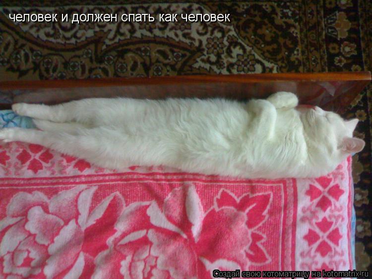 человек и должен спать как человек... Котоматрица: человек и должен спать как человек