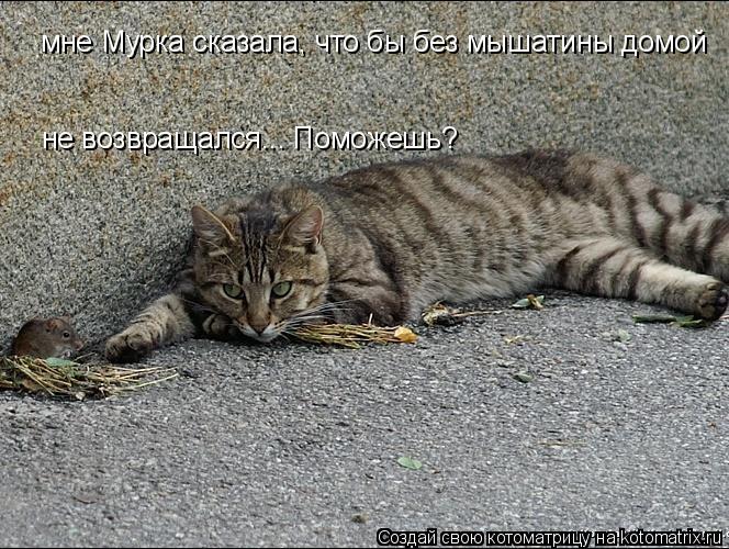 мне Мурка сказала, что бы без мышатины домой не возвращался... Поможешь?... Котоматрица: мне Мурка сказала, что бы без мышатины домой не возвращался... Поможешь?