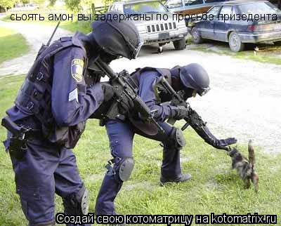 сьоять амон вы задержаны по просьбе призедента... Котоматрица: сьоять амон вы задержаны по просьбе призедента