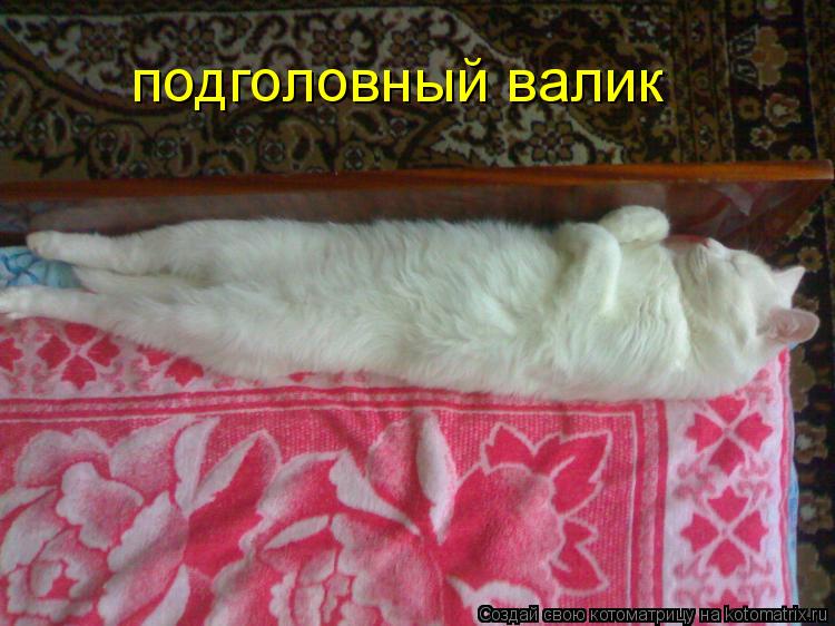Котоматрица: подголовный валик