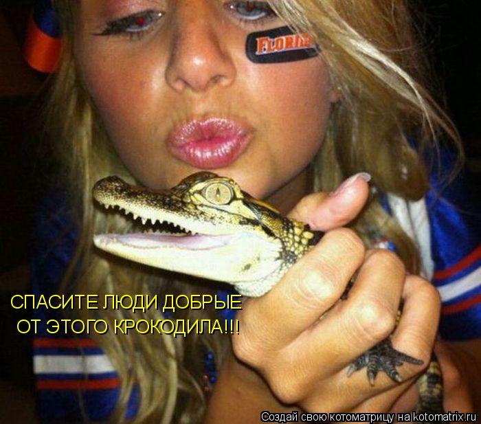 Котоматрица: СПАСИТЕ ЛЮДИ ДОБРЫЕ ОТ ЭТОГО КРОКОДИЛА!!!