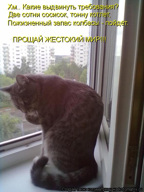 Котоматрица: Хм.. Какие выдвинуть требования? Две сотни сосисок, тонну котлет, Пожизненный запас колбасы - пойдёт. ПРОЩАЙ ЖЕСТОКИЙ МИР!!!
