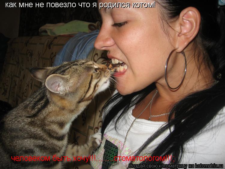 как мне не повезло что я родился котом! человеком быть хочу!!!........стоматологом!!!;... Котоматрица: как мне не повезло что я родился котом! человеком быть хочу!!!........стоматологом!!!;