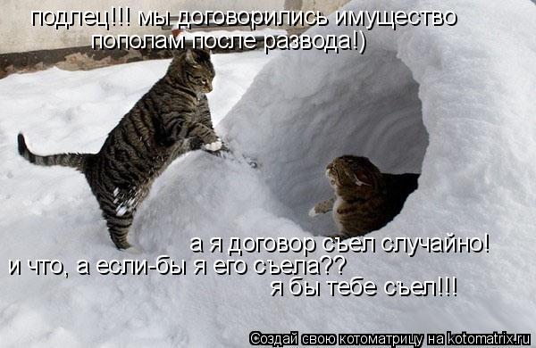подлец!!! мы договорились имущество пополам после развода!) а я договор съел случайно! и что, а если... Котоматрица: подлец!!! мы договорились имущество пополам после развода!) а я договор съел случайно! и что, а если-бы я его съела?? я бы тебе съел!!!